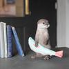 Otter Piggy Bank Realistic Object Figurine PET BANK OTTER #2911