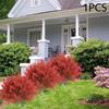 Artificial Topiary Ball Tree Fake Cypress Plants Bushes with Stake Faux Shrub for