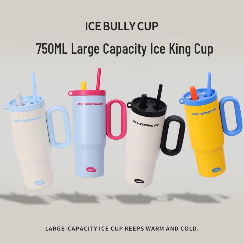 MOZHOU 316 Stainless Steel Jumbo Insulated Tumbler 750ml