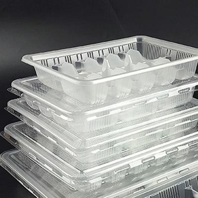 Disposable 10-Compartment Thickened Dumpling Takeout Boxes