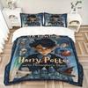 3pcs Harry Potter Fantasy Adventure Bedding Set, Soft Polyester Duvet Cover and Pillowcases Seasons all suitable, Design for Bedroom L1003144