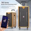 MALONE M-8810 High-Power Portable Karaoke Trolley Speaker CN Plug (adapter Included) (CN Version)