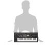 Korg microKORG XL+ 37-Key Synthesizer/Vocoder with Expanded PCM