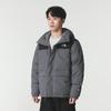 The North Face Men's Winter Down Jacket 8GKGRPI
