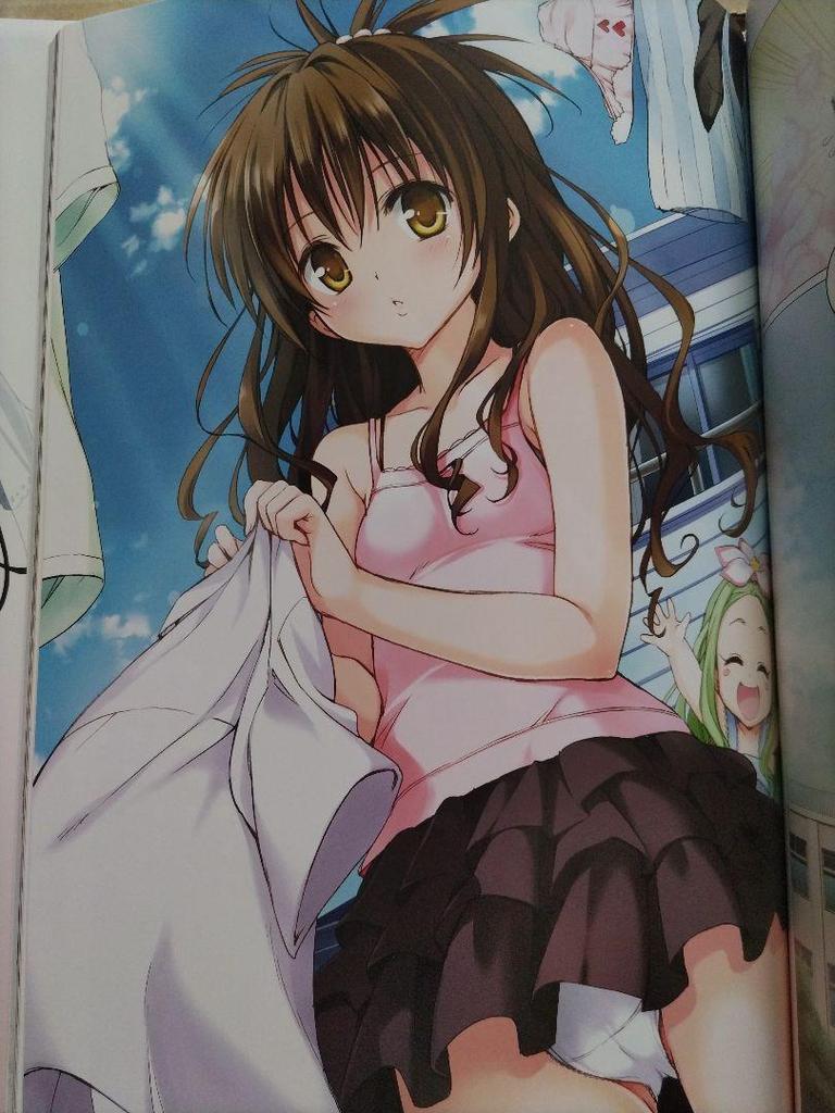 [USED] Collector's Edition To Love-Ru Darkness Art Book Venus