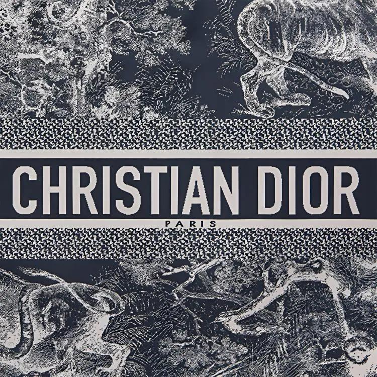 DIOR Travel Toile de Jouy Reverse Print Zipper Tech Fabric Clutch Bag  Shoulder Bag Handbag Regular Fit Women's Style Blue