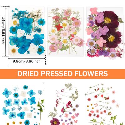 Conjunto de 104 Peças de Flores Secas Prensadas Flores Reais Naturais Prensadas Folhas Florais DIY Multiuso Flores Prensadas Reais Kit de Folhas Secas