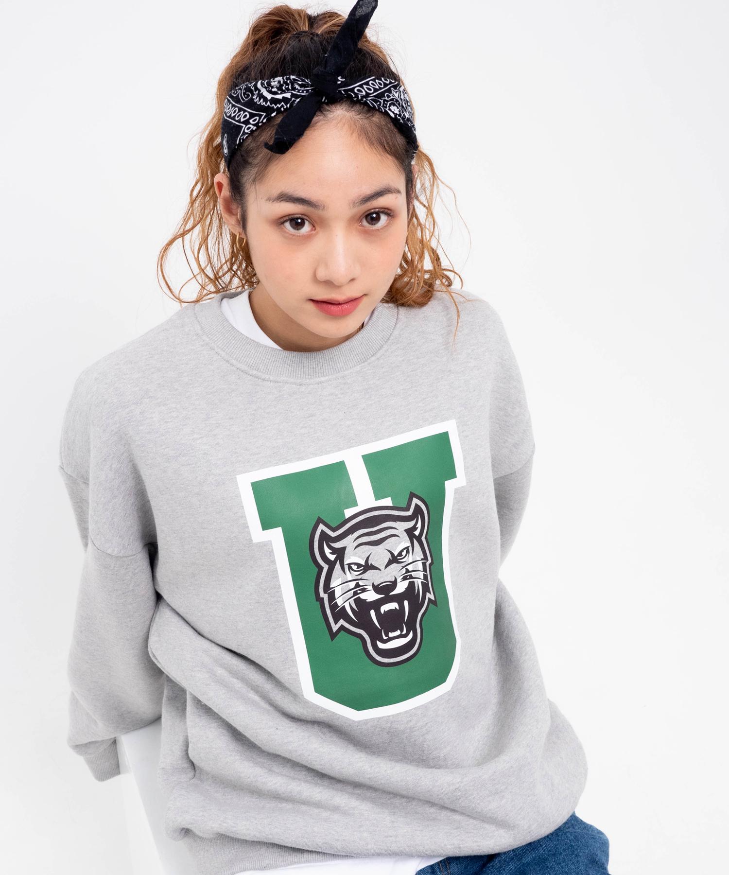 Толстовка Sturf Big U Серая Brushed L