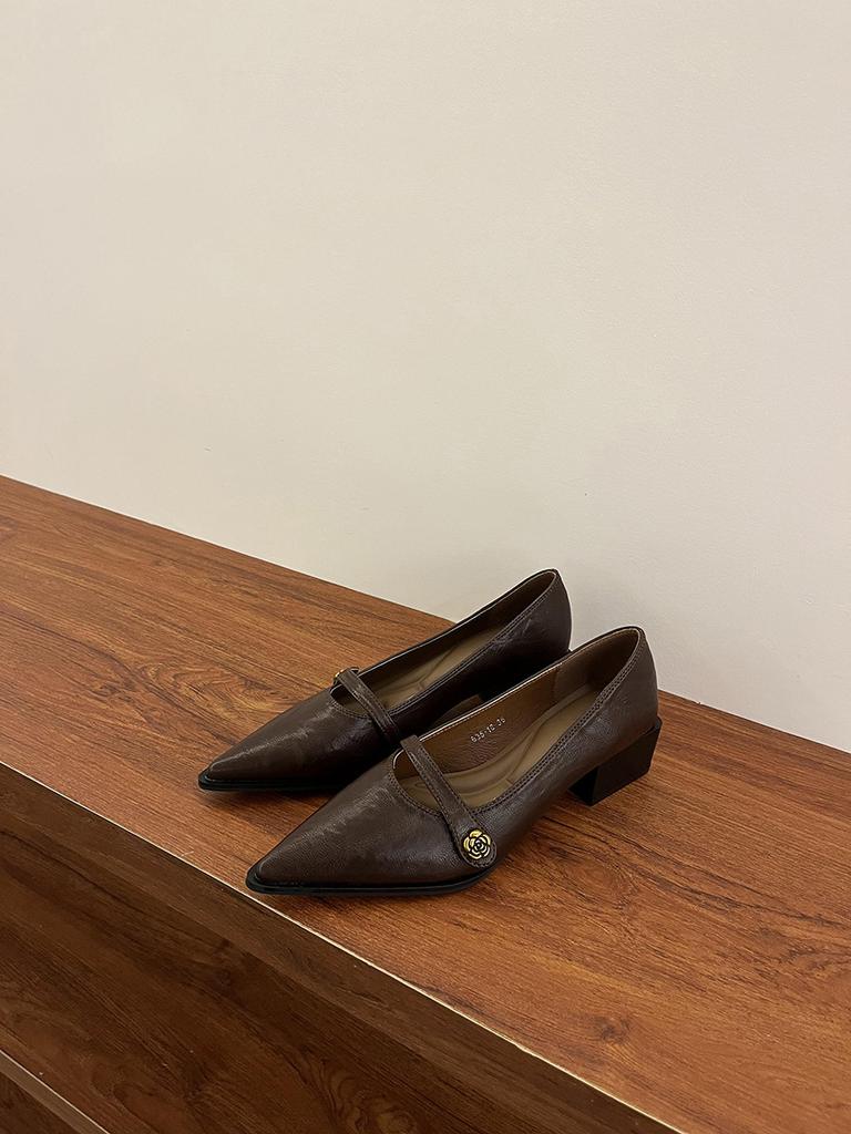 Pointed commuter shallow mouth single shoes women's spring and autumn retro casual thick heel fashion Mary Jane small leather shoes