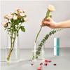 Modern Transparent Glass Vase for Flowers