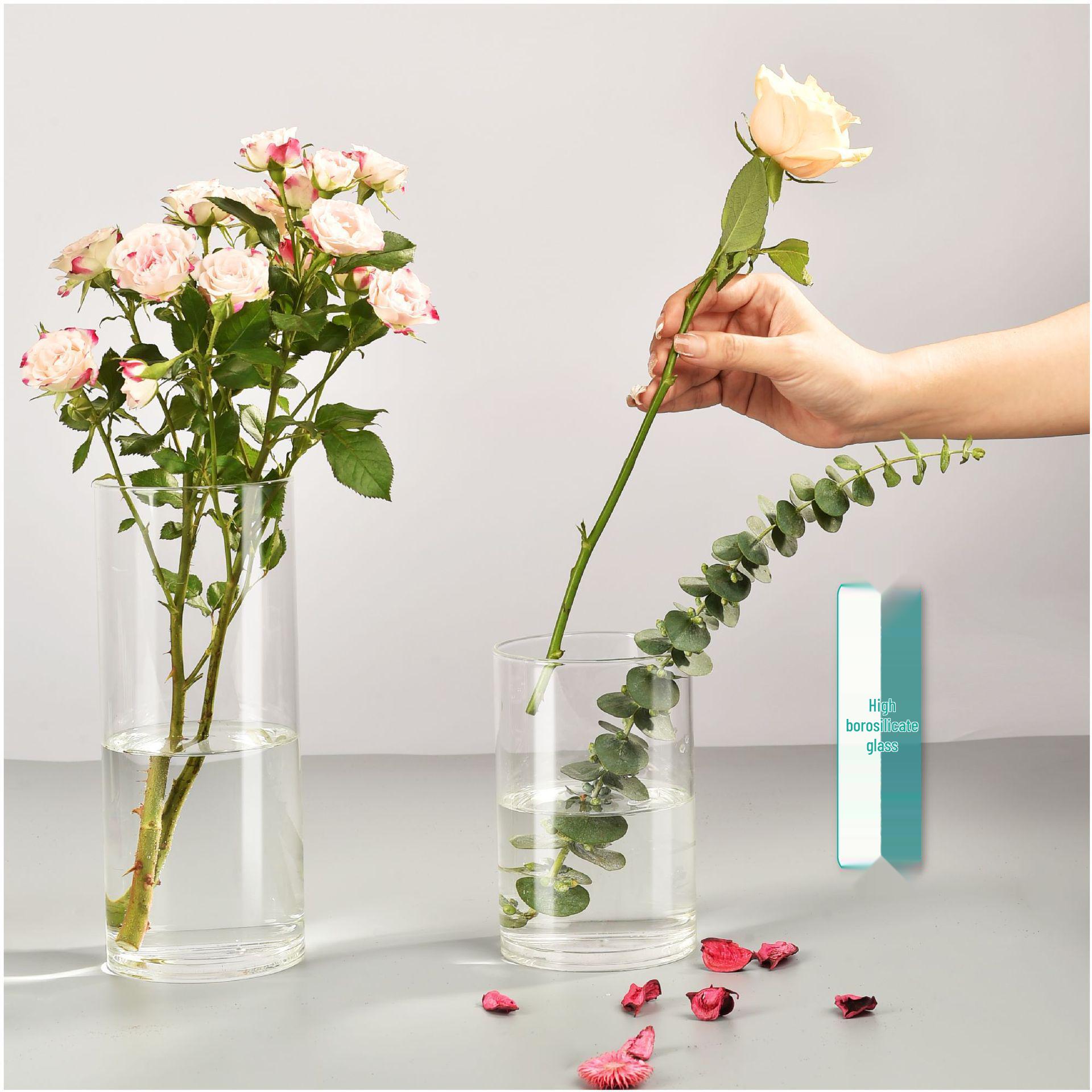 Modern Transparent Glass Vase for Flowers 5.3cm x 6cm, 110ml