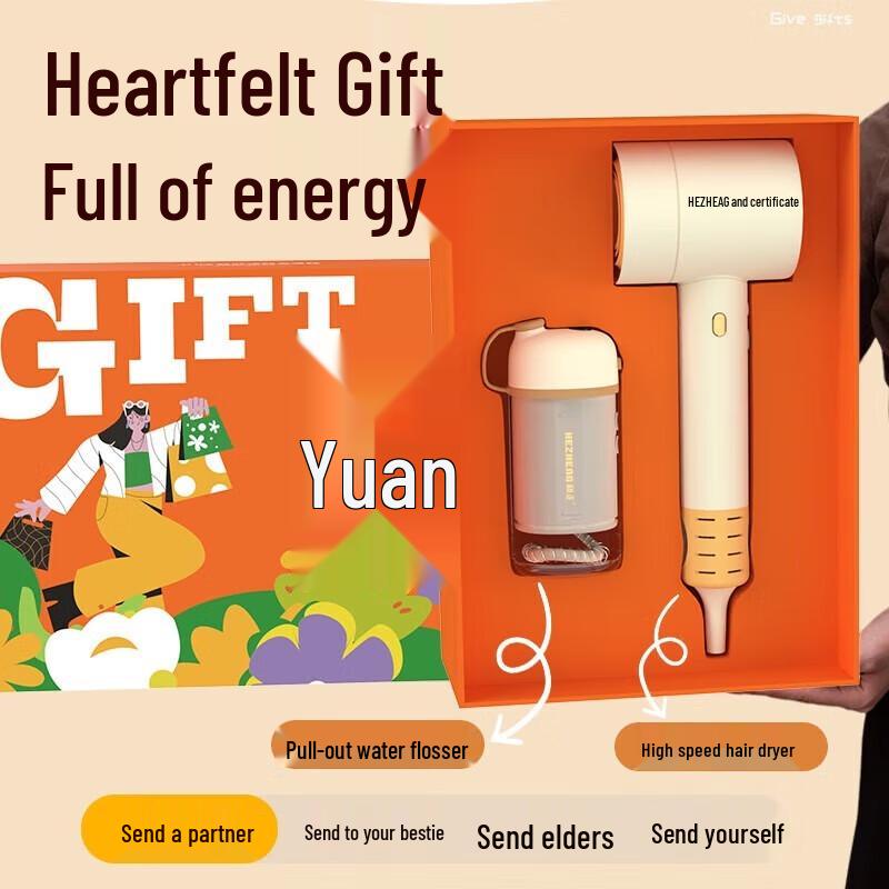 Hozheng High-Speed Hair Dryer & Oral Irrigator Gift Set