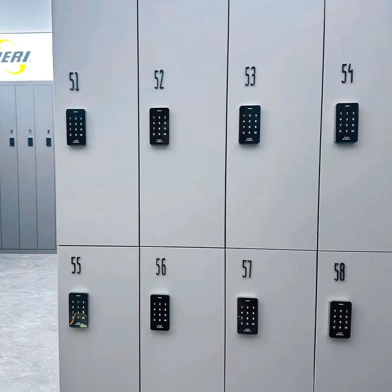 Direct din fabrică Aliaj de Zinc Cheie Dulap Gimnaziu Fără Cheie Parolă Digitală Lacăt Electronic Lacăt Dulap Lacăt Inteligent