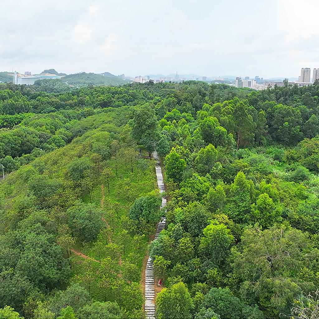 Film profesional anti-zgârieturi pentru obiectiv cu unghi larg pentru Mavic3 Pro Câmp vizual mai larg 35% Experiență de fotografiere aeriană