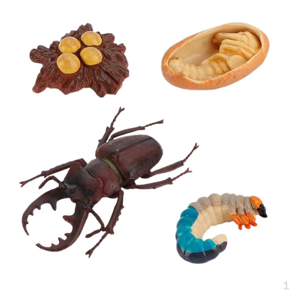 

Cycle Set Stag Figure Learning rear teeth