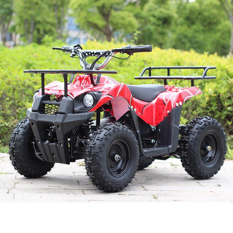 Children's Electric Beach ATV - 36V 800W All-Terrain Off-Road Recreational Vehicle
