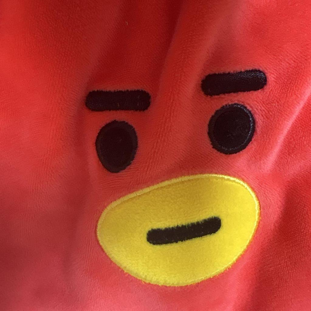 [USED] BT21 TATA Hooded Neck Pillow BTS V