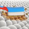 Accessories Multipurpose Cleaning Brush Long Handle Household Cleaning Soft Bristled Brush Rubber Grip Shoe Brush