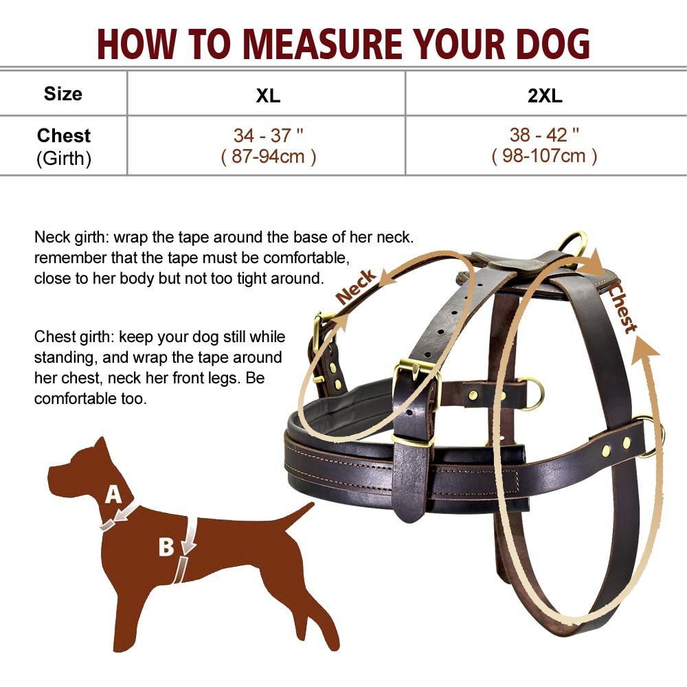 cesar millan harness medium