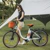 Electric Bike DYU C6 Pro 26" 250W Motor 15.6AH Max Range 80Km Load 120Kg White
