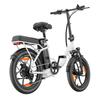 20-inch Folding Electric Bike 250W Motor 48V 16Ah Battery 25km/h 100km Range 20x3.0-inch Fat-Tire Electric Bicycle