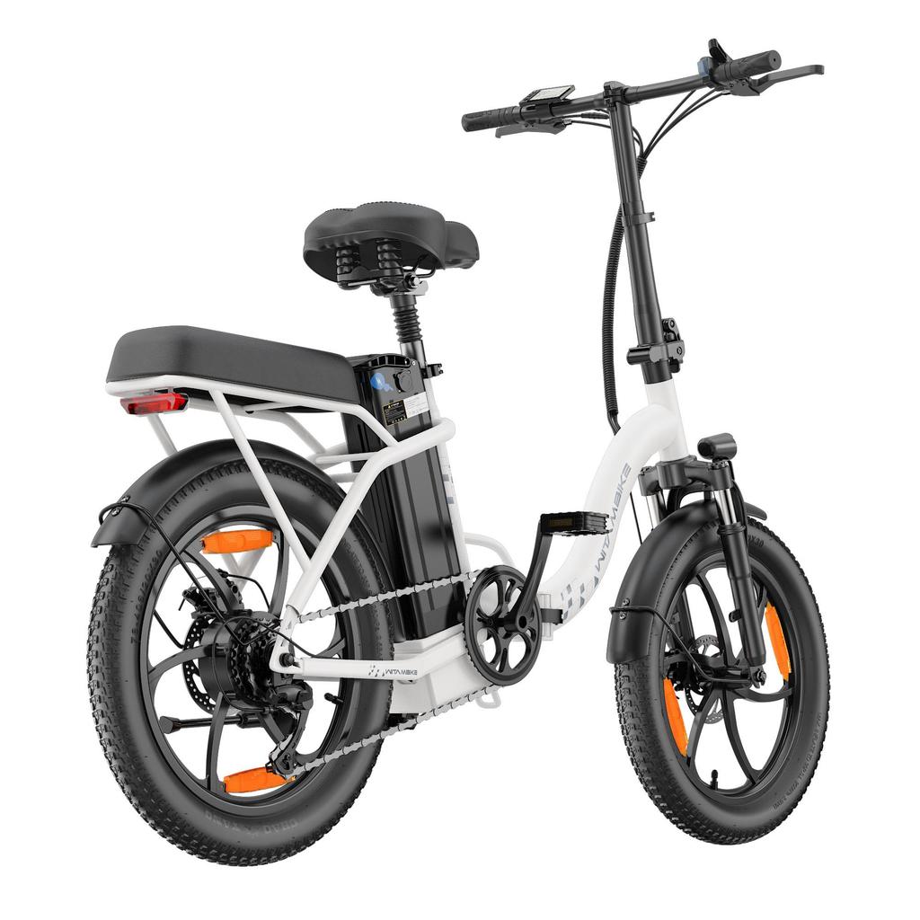 20-inch Folding Electric Bike 250W Motor 48V 16Ah Battery 25km/h 100km Range 20x3.0-inch Fat-Tire Electric Bicycle