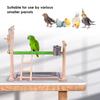 Solid Wooden Bird Toys Parrot Stand Parakeet Toy Playground Cage Perch Ladder Play Birds Swing Gym Cockatiel Hamsters Wooden