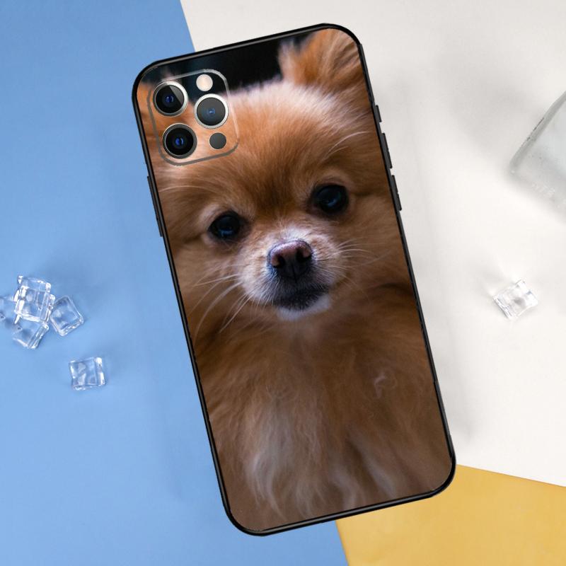 Pomeranian Dog Phone Case For iPhone 16 Pro Max 12 13 Mini 11 14 15 Pro Max XR 16 15 Plus 16e Cover Shell