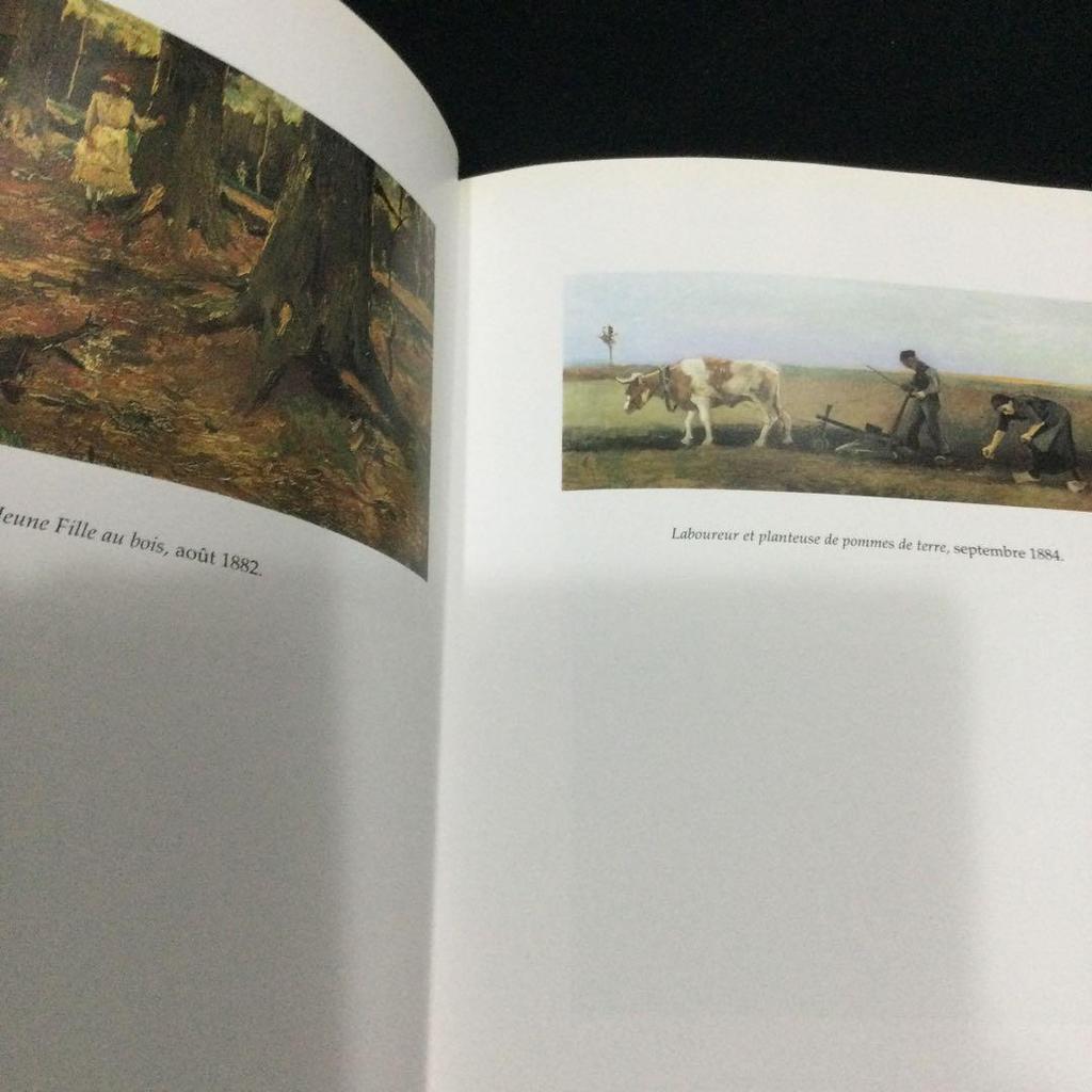 [USED] Van Gogh Art Collection with CD-ROM French Van Gogh Books