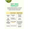 Median Green Propolis Toothpaste 100g*3