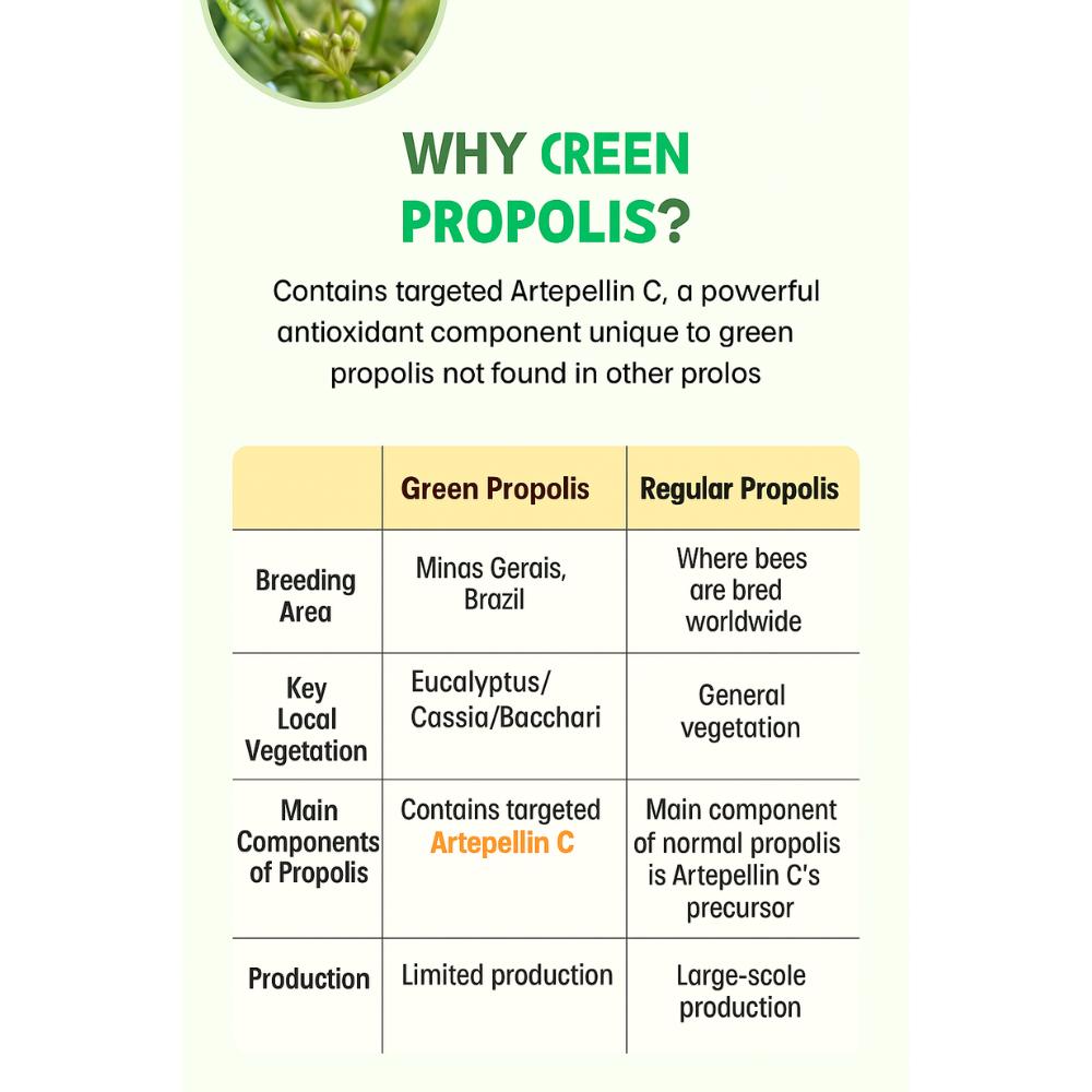 Median Green Propolis Toothpaste 100g*3