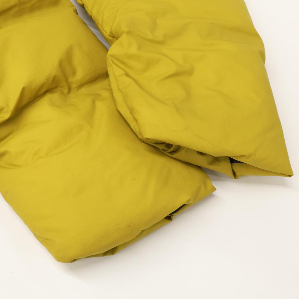 The North Face [Domestic Regular] NDM92100 GORE-TEX Maternity Down Coat L Mineral GoldUsed