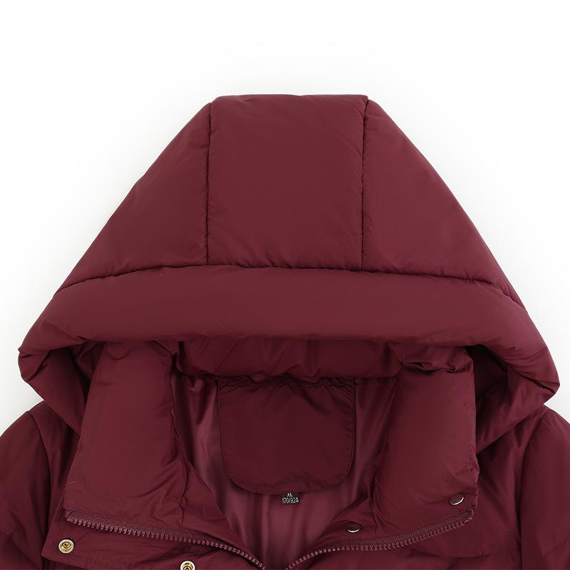 White Eiderdown Down Jacket Female Short Loose New Young and Middle-aged Mother Winter Wild Hooded Down Jacket