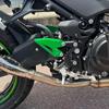 Hruizq Ayak Pegi Topuk Plakası Koruyucuları Kawasaki Ninja 400 Z400 için (2018-2023), Ninja 250 Z250 (2019-2023), Z e-1 Ninja e-1 (2024) (Yeşil)