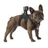 Fabrik Suptig Kamera-Gurt Hund Jagd Geschirr Verstellbarer Brustgurt Riemen Halterung für Haustier Hund für GoPro Action Aufnahme