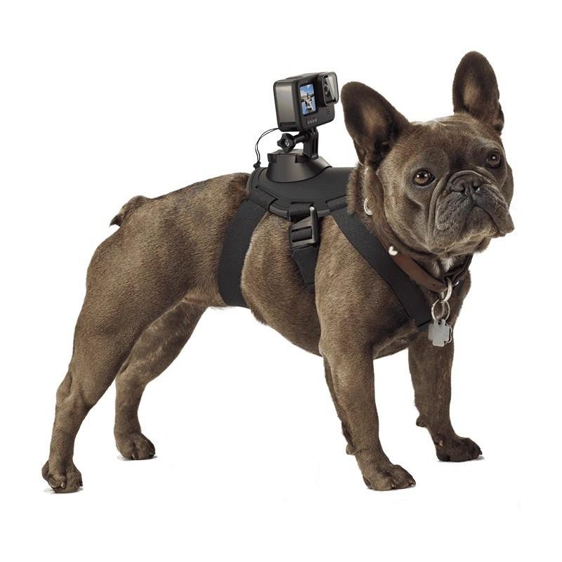 Fabrik Suptig Kamera-Gurt Hund Jagd Geschirr Verstellbarer Brustgurt Riemen Halterung für Haustier Hund für GoPro Action Aufnahme