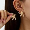 Europe and America INS popular jewelry beach vacation scallop shell pendant earrings women's earrings ears