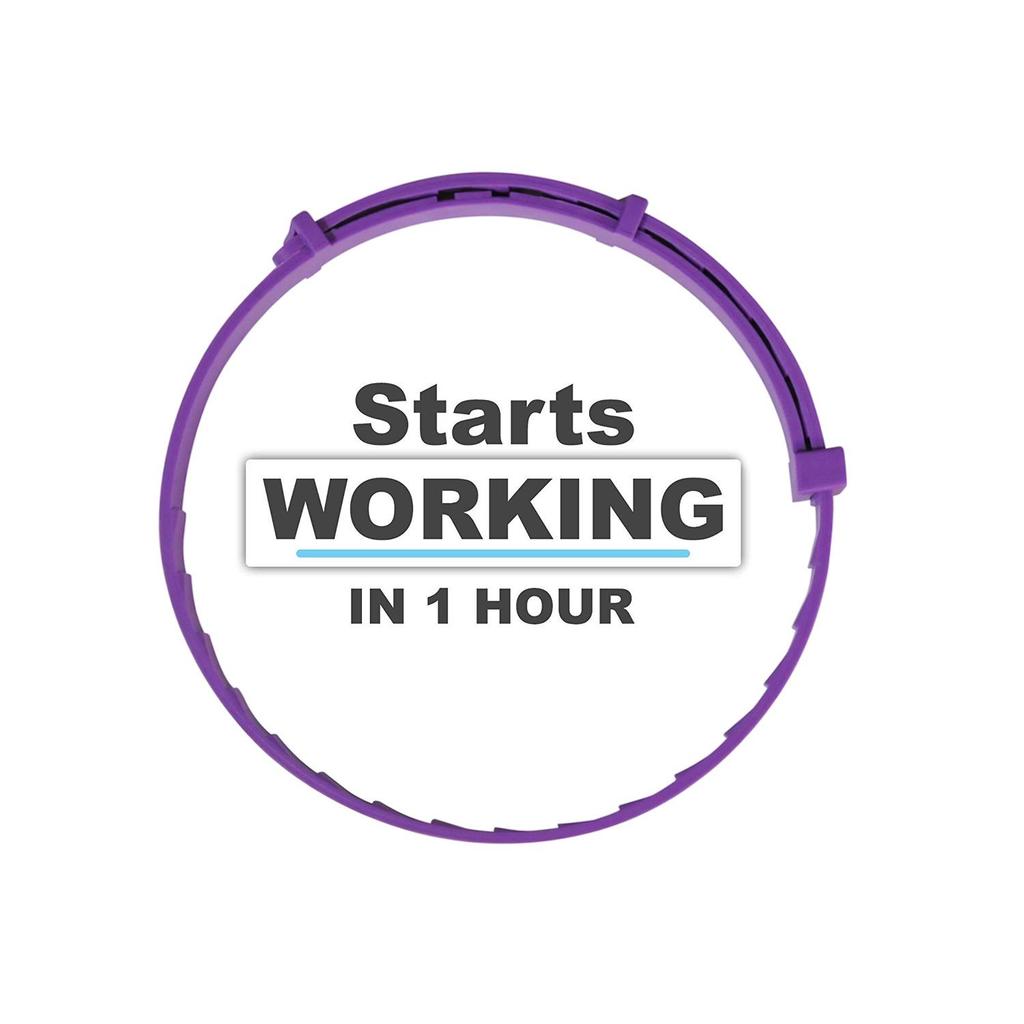 Gray Calming Collar for Dogs and Cats - Soothes Anxiety and Provides Relaxation