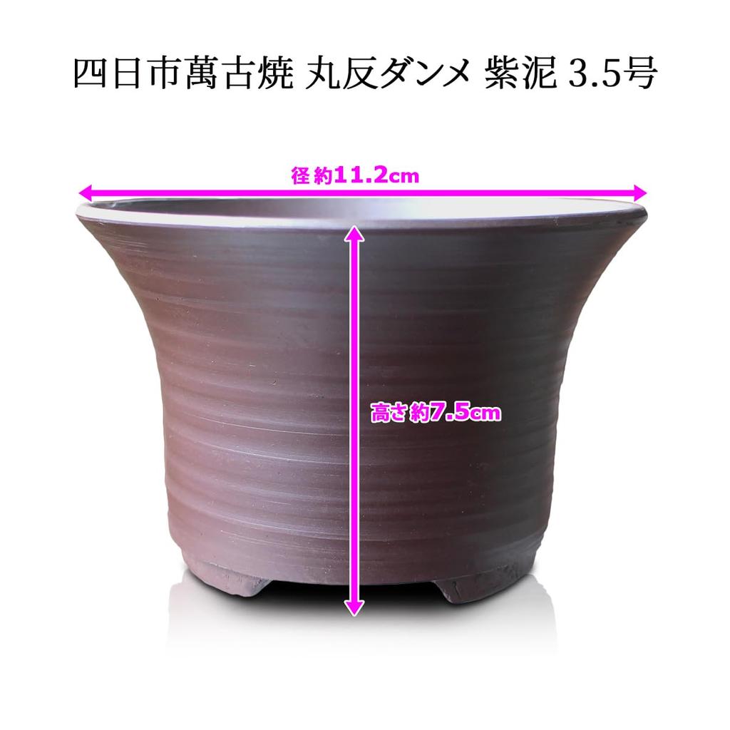 Umekichi Bonsai Round Damme Bonsai Purple Yokkaichi Banko Tozan Deep Suitable for Miscellaneous Approximately Small Size Supplies, 3.5" Pot, Clay,