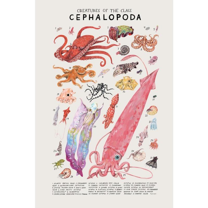 Woodland Animals Genus Generic evolution Nursery Posters Child Educate Prints Canvas Painting Wall Art Pictures Room Home Decor