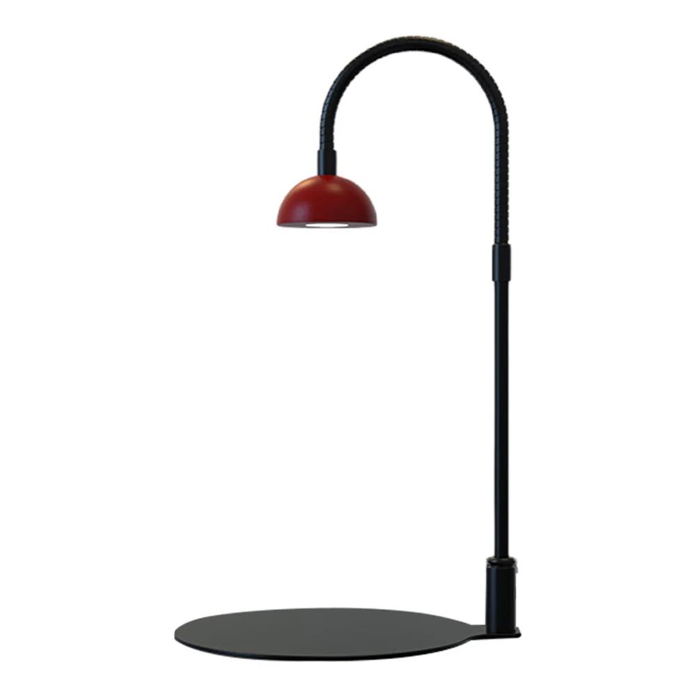 Indoor Plant Growth Lamp with Timmer Full Spectrum Plant Lamp Small Plants Growth Light for Desktop Glass Plant Terrarium