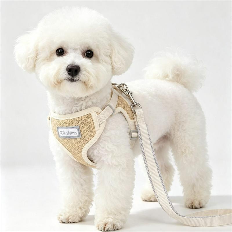 New Pet Products Adjustable Small Cat Harness Leash Set Breathable Cute Comfortable Medium Dog Collars Leash Accessories