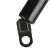 51248222913 Tailgate Trunk Gas Spring Strut Lift Support Fit for E39 525i 528i 530i M5 (1 Pair)