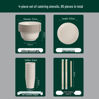 ZISIZ Disposable Dinnerware Set