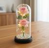 1 Artificial Rose Eternal Flower Glass Cover Creative Bouquet Mother's Day Small Gift Valentine's Day Gift High Sense