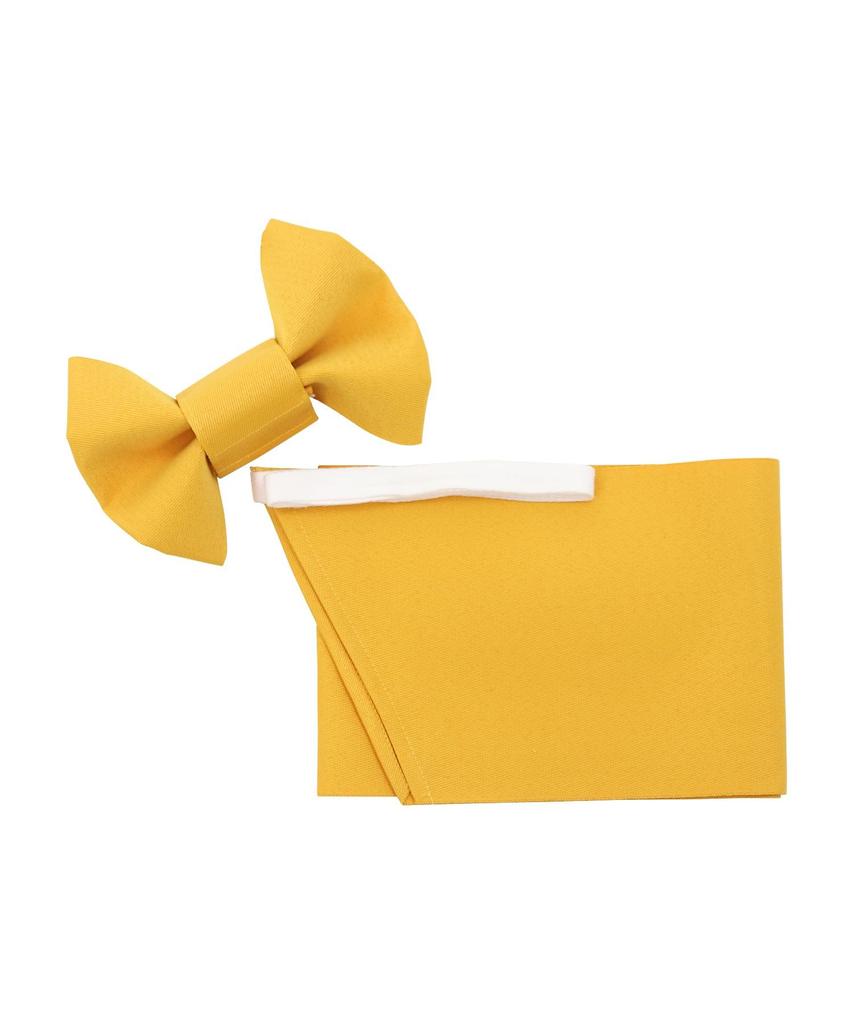 Graduation Ceremony Hakama Easy To 5 Piece Set Hakama Lower Waist for Elementary School Girls Drops On the [KYOETSU] Set, Dress, (Kimono, Hakama,