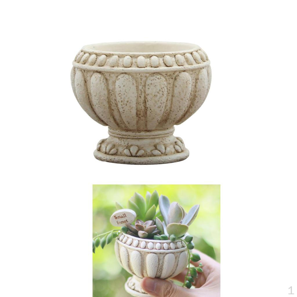 

Стекло Per Piante из нескольких материалов с европейским Micro Paesaggio, A, как описано.