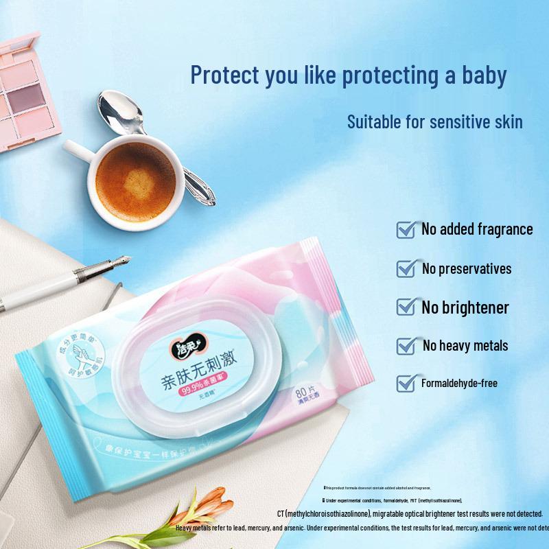 Tempo Sanitary Wet Wipes, 80-Count Family Pack, Skin-Friendly Household Use