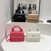 Small Bag Women's Handbag New Simple Messenger Bag Solid Color Small Fresh Foreign Texture Commuting Shoulder Small Square Bag