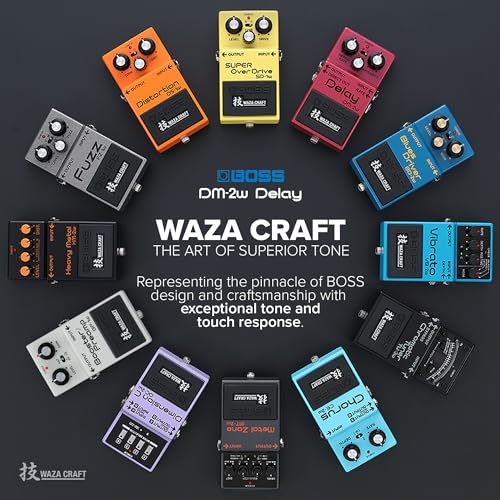 BOSS Waza Craft Series Delay DM-2W